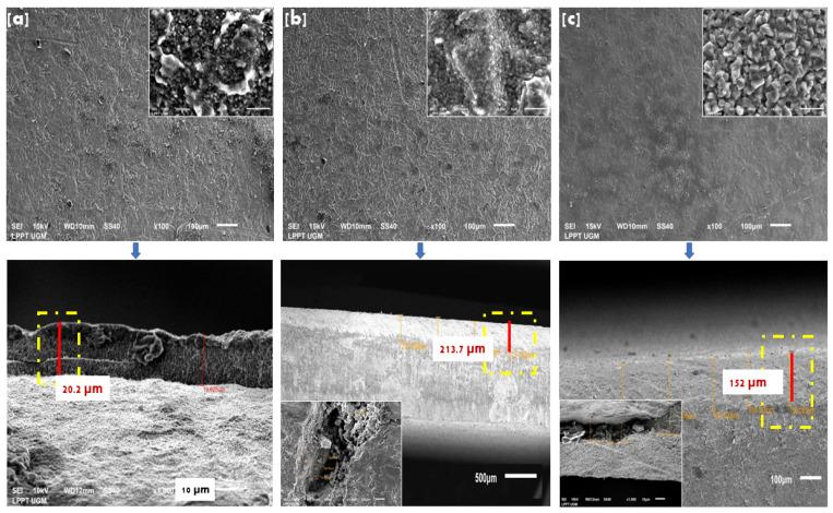 https://cdn.ncbi.nlm.nih.gov/pmc/blobs/8c24/9774233/c113d2750103/bioengineering-09-00784-g006.jpg