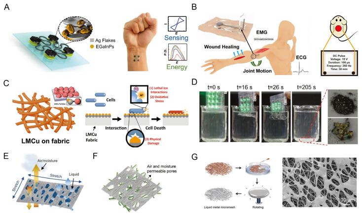 https://cdn.ncbi.nlm.nih.gov/pmc/blobs/8c24/9856137/33fe5af391ad/biosensors-13-00084-g014.jpg