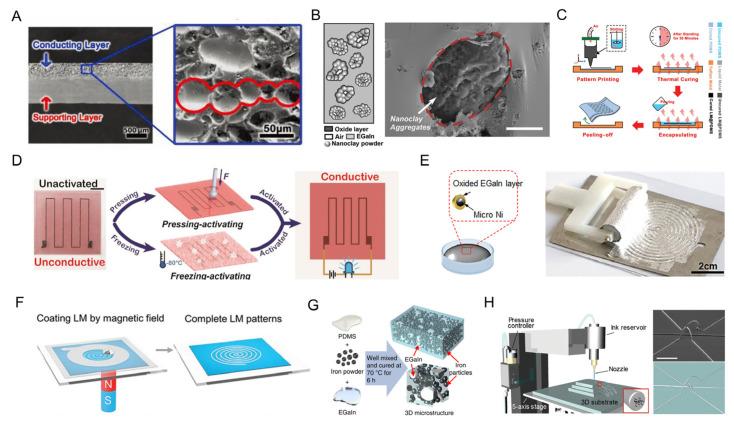 https://cdn.ncbi.nlm.nih.gov/pmc/blobs/8c24/9856137/7d1af2cf6981/biosensors-13-00084-g007.jpg