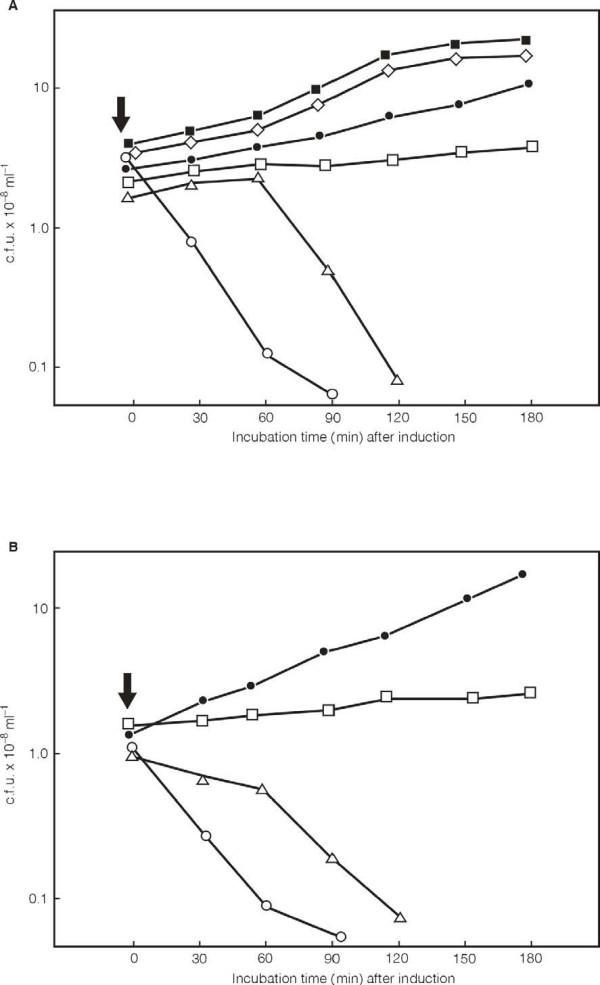 https://cdn.ncbi.nlm.nih.gov/pmc/blobs/8c25/1931599/72ad8e917b02/1471-2180-7-66-5.jpg