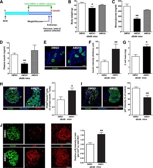 https://cdn.ncbi.nlm.nih.gov/pmc/blobs/8c25/3064093/01f358b94992/1198fig4.jpg
