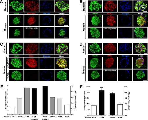 https://cdn.ncbi.nlm.nih.gov/pmc/blobs/8c25/3064093/46447fcb1983/1198fig2.jpg