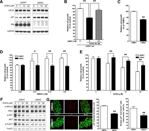 https://cdn.ncbi.nlm.nih.gov/pmc/blobs/8c25/3064093/6a3913ae8d6f/1198fig5.jpg