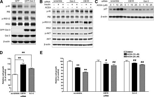 https://cdn.ncbi.nlm.nih.gov/pmc/blobs/8c25/3064093/a37dc54fd1bc/1198fig8.jpg