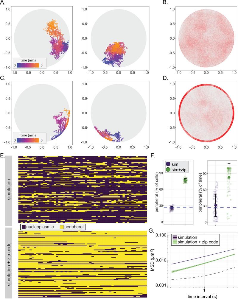 https://cdn.ncbi.nlm.nih.gov/pmc/blobs/8c25/8195609/937610084cd5/elife-66238-fig4.jpg