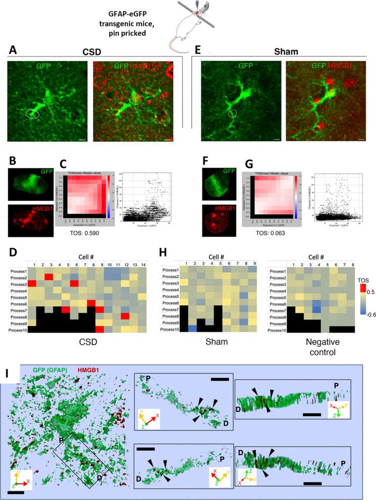 https://cdn.ncbi.nlm.nih.gov/pmc/blobs/8c26/10712196/4b7a8a7479ac/12974_2023_2977_Fig3_HTML.jpg