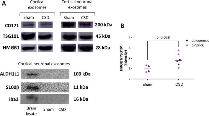 https://cdn.ncbi.nlm.nih.gov/pmc/blobs/8c26/10712196/a7b0f92d4bc7/12974_2023_2977_Fig6_HTML.jpg