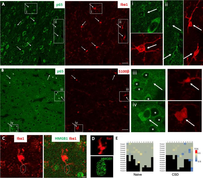 https://cdn.ncbi.nlm.nih.gov/pmc/blobs/8c26/10712196/b18f803caabc/12974_2023_2977_Fig4_HTML.jpg