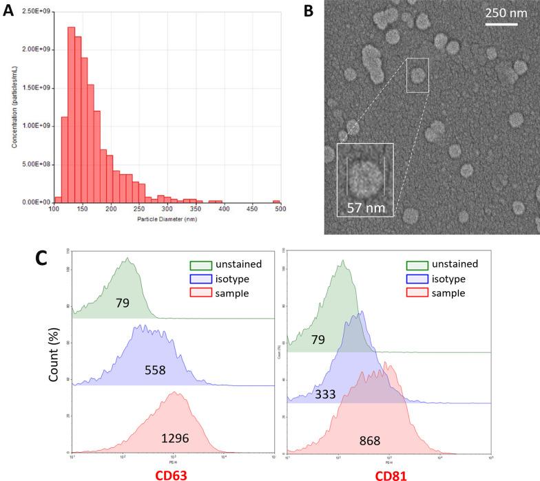 https://cdn.ncbi.nlm.nih.gov/pmc/blobs/8c26/10712196/dfd0470c930a/12974_2023_2977_Fig5_HTML.jpg
