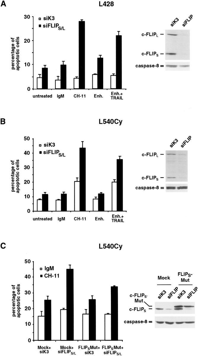 https://cdn.ncbi.nlm.nih.gov/pmc/blobs/8c26/2211891/ce4ef753e6bb/20031080f4.jpg