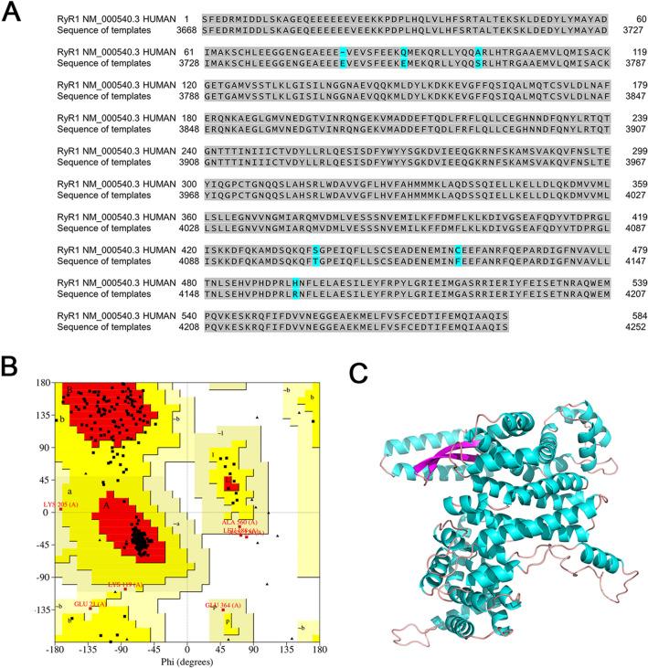 https://cdn.ncbi.nlm.nih.gov/pmc/blobs/8c2c/11880135/62267d0016cb/12035_2024_4533_Fig6_HTML.jpg