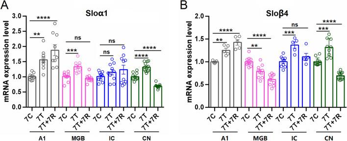 https://cdn.ncbi.nlm.nih.gov/pmc/blobs/8c2c/11880135/6e2a2712704b/12035_2024_4533_Fig3_HTML.jpg