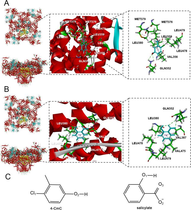 https://cdn.ncbi.nlm.nih.gov/pmc/blobs/8c2c/11880135/91b6b633ed35/12035_2024_4533_Fig7_HTML.jpg