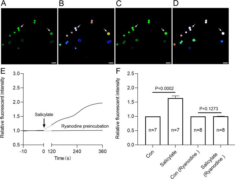 https://cdn.ncbi.nlm.nih.gov/pmc/blobs/8c2c/11880135/cc19272249ad/12035_2024_4533_Fig5_HTML.jpg