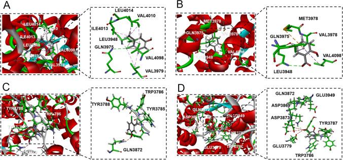 https://cdn.ncbi.nlm.nih.gov/pmc/blobs/8c2c/11880135/f6128c27304f/12035_2024_4533_Fig8_HTML.jpg