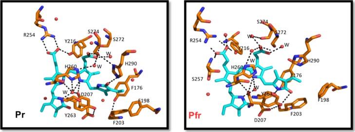 https://cdn.ncbi.nlm.nih.gov/pmc/blobs/8c2e/6727380/d1ad0b9eed75/jp-2019-01117r_0003.jpg