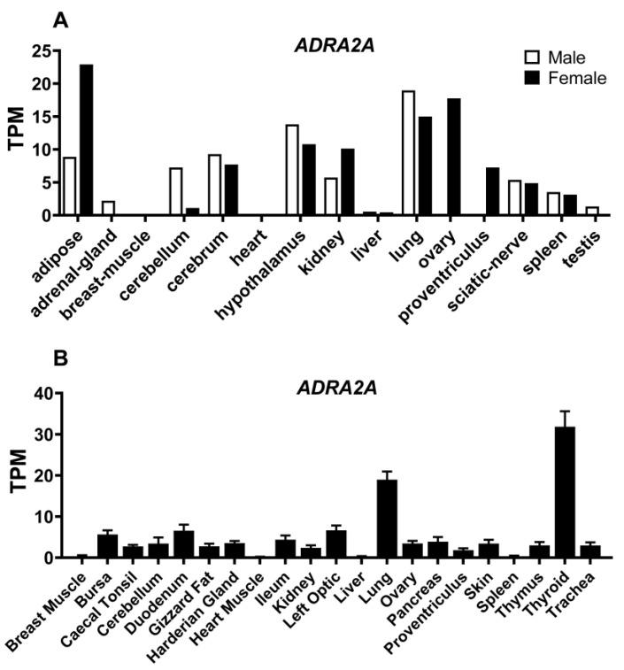https://cdn.ncbi.nlm.nih.gov/pmc/blobs/8c2e/9315859/2884f895b4ad/genes-13-01113-g004.jpg