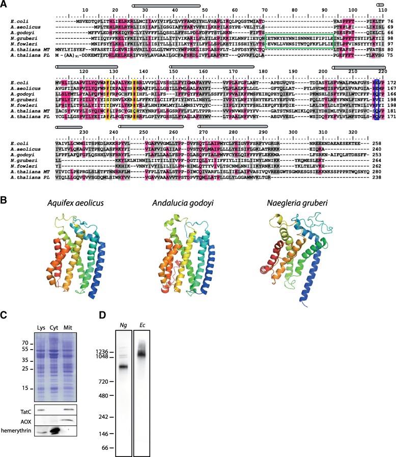 https://cdn.ncbi.nlm.nih.gov/pmc/blobs/8c2f/6251230/4c0a1bbcb3c0/12915_2018_607_Fig3_HTML.jpg