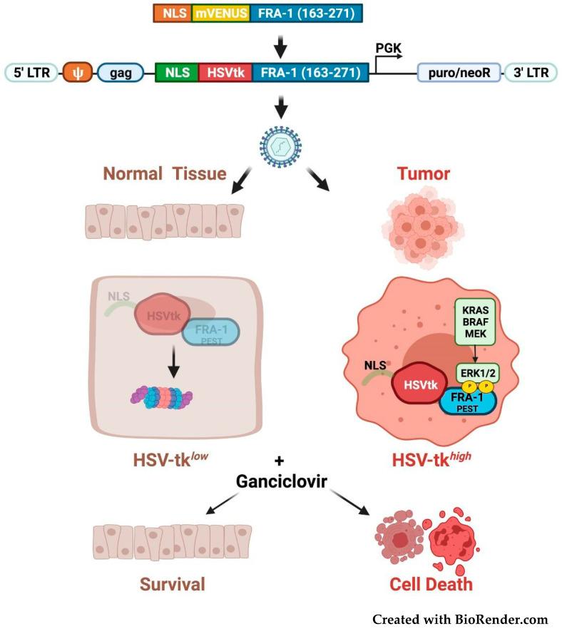 https://cdn.ncbi.nlm.nih.gov/pmc/blobs/8c30/8946526/2b766da417b9/cancers-14-01480-g008.jpg