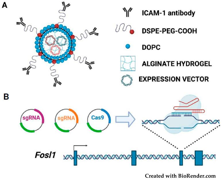 https://cdn.ncbi.nlm.nih.gov/pmc/blobs/8c30/8946526/53bca51082d8/cancers-14-01480-g004.jpg