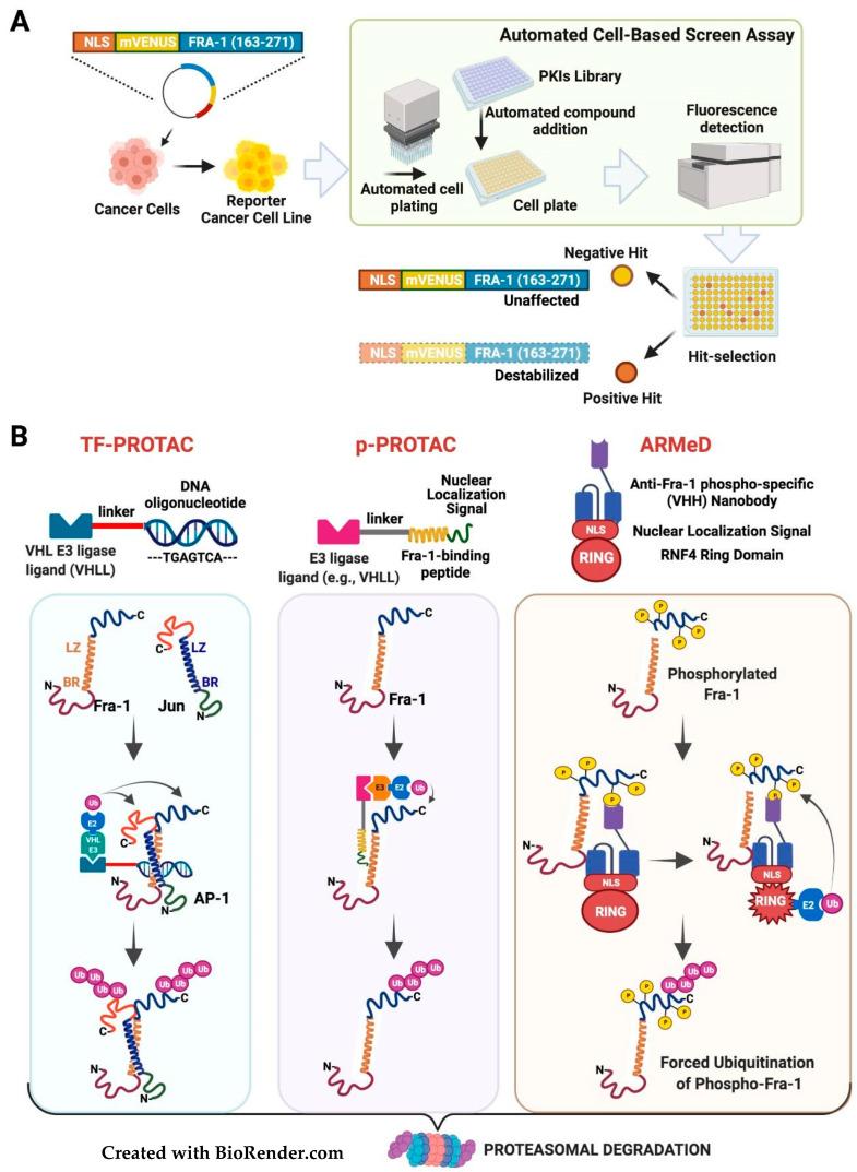 https://cdn.ncbi.nlm.nih.gov/pmc/blobs/8c30/8946526/95a5fb27da10/cancers-14-01480-g006.jpg