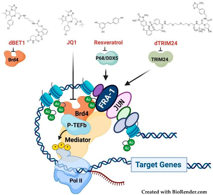 https://cdn.ncbi.nlm.nih.gov/pmc/blobs/8c30/8946526/edf049c2f0c7/cancers-14-01480-g007.jpg