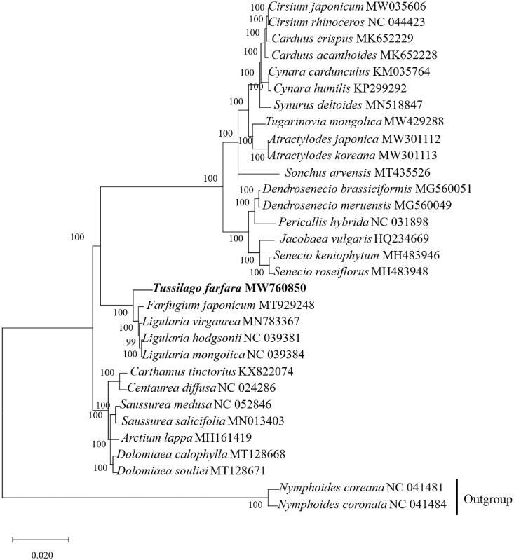 https://cdn.ncbi.nlm.nih.gov/pmc/blobs/8c31/8959504/854baeb10277/TMDN_A_2005494_F0001_B.jpg