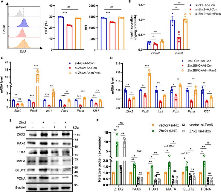 https://cdn.ncbi.nlm.nih.gov/pmc/blobs/8c32/10232729/a9524755ad2f/gr5.jpg