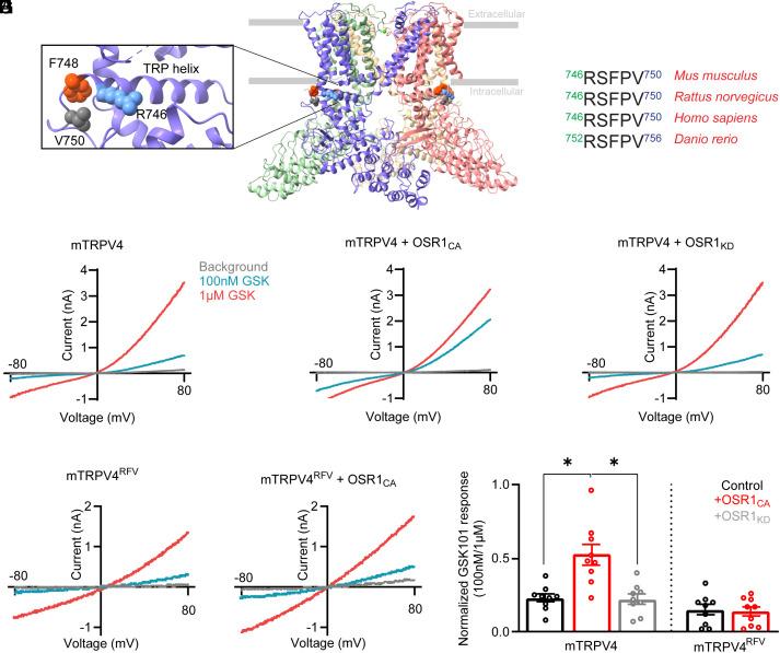 https://cdn.ncbi.nlm.nih.gov/pmc/blobs/8c32/11009681/cd7da9939cbb/pnas.2322135121fig04.jpg