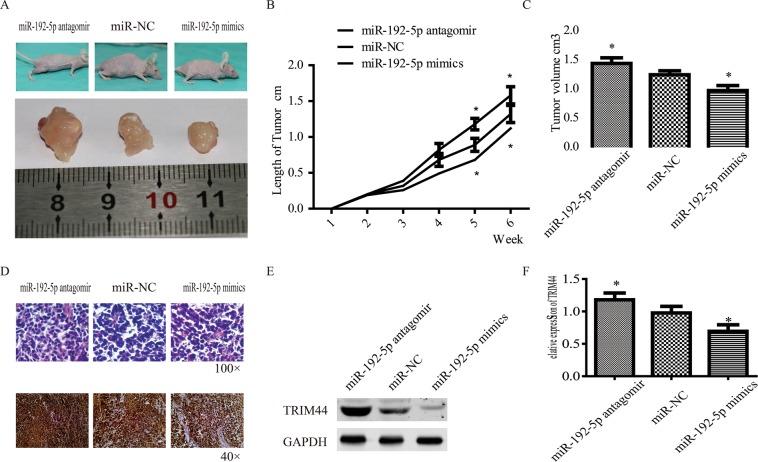 https://cdn.ncbi.nlm.nih.gov/pmc/blobs/8c32/6928221/003c9d75c4fd/41598_2019_56018_Fig6_HTML.jpg
