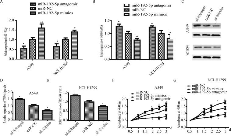 https://cdn.ncbi.nlm.nih.gov/pmc/blobs/8c32/6928221/369539fd0031/41598_2019_56018_Fig2_HTML.jpg