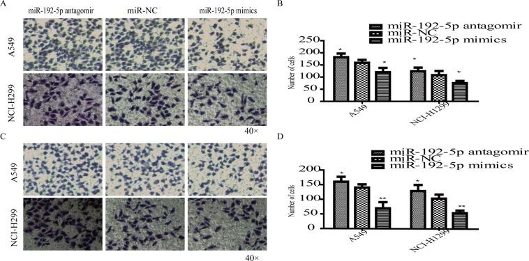https://cdn.ncbi.nlm.nih.gov/pmc/blobs/8c32/6928221/783ad7f6676d/41598_2019_56018_Fig3_HTML.jpg