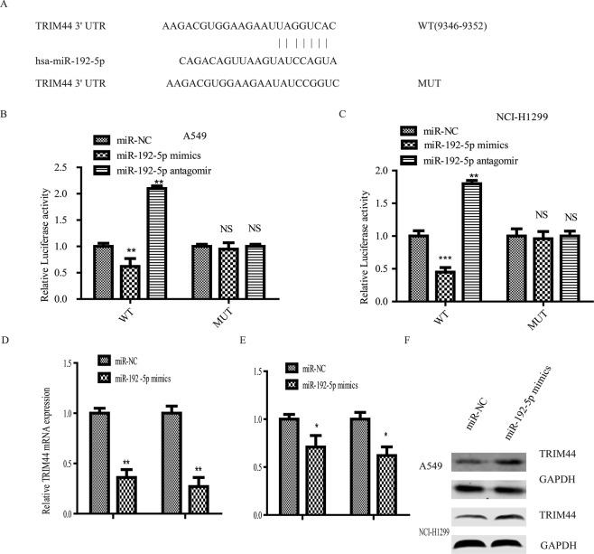 https://cdn.ncbi.nlm.nih.gov/pmc/blobs/8c32/6928221/954ca11c6a51/41598_2019_56018_Fig4_HTML.jpg