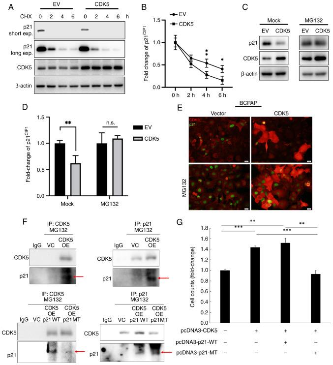 https://cdn.ncbi.nlm.nih.gov/pmc/blobs/8c33/12059462/96d7c4741f7d/mmr-32-01-13547-g01.jpg