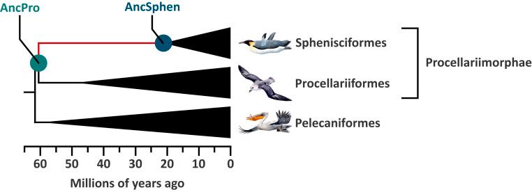 https://cdn.ncbi.nlm.nih.gov/pmc/blobs/8c36/8020755/1e10f902a951/pnas.2023936118fig01.jpg