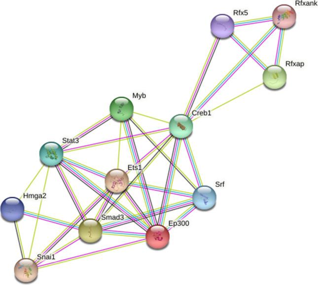 https://cdn.ncbi.nlm.nih.gov/pmc/blobs/8c38/11189369/7350ba190b2e/11302_2022_9916_Fig3_HTML.jpg