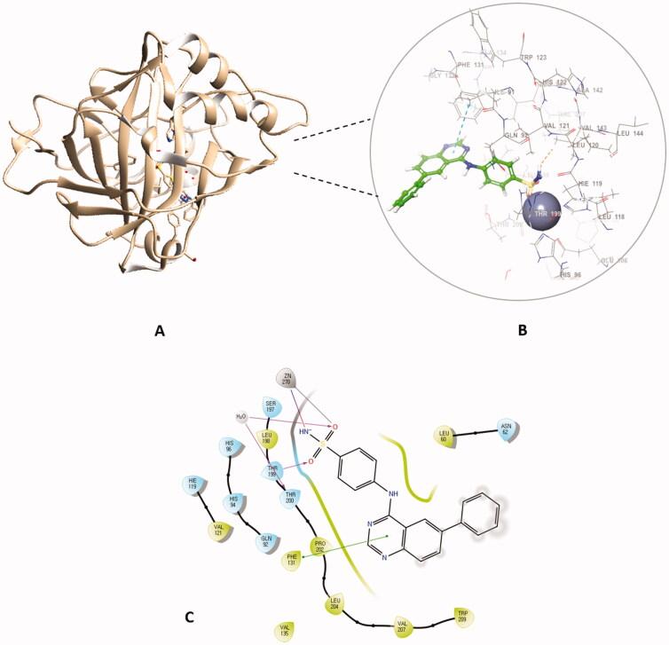 https://cdn.ncbi.nlm.nih.gov/pmc/blobs/8c3a/8973350/d2a39b409b88/IENZ_A_2055553_F0008_C.jpg