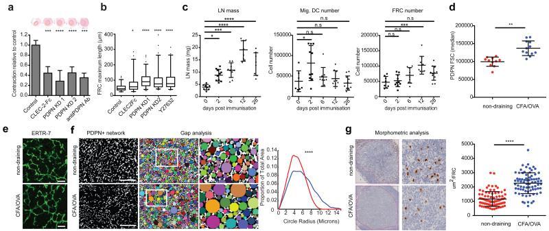 https://cdn.ncbi.nlm.nih.gov/pmc/blobs/8c3b/4235005/3ed052440362/emss-60233-f0011.jpg