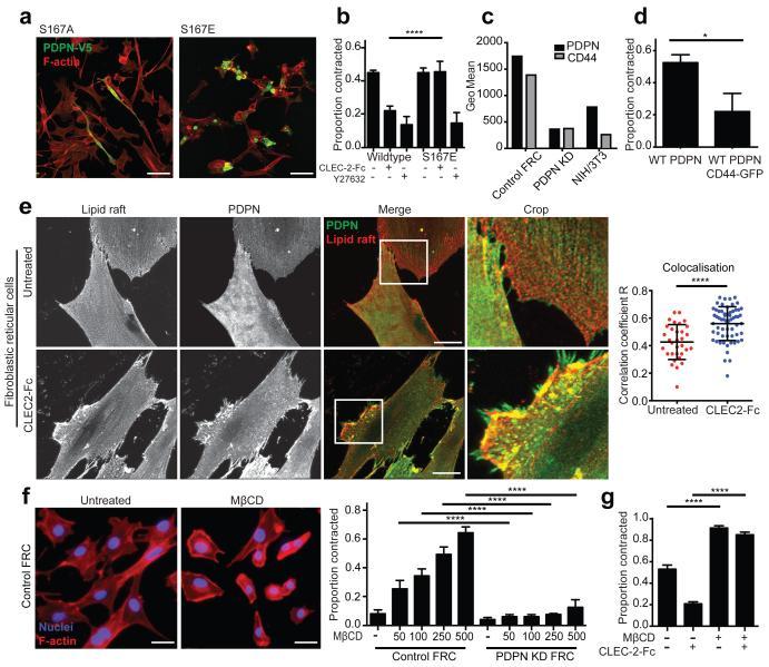 https://cdn.ncbi.nlm.nih.gov/pmc/blobs/8c3b/4235005/5a49df3b833f/emss-60233-f0010.jpg