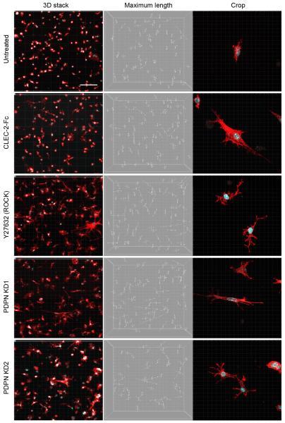 https://cdn.ncbi.nlm.nih.gov/pmc/blobs/8c3b/4235005/97c1ebf6a137/emss-60233-f0005.jpg