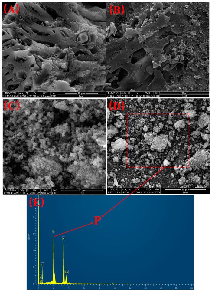 https://cdn.ncbi.nlm.nih.gov/pmc/blobs/8c3c/10488594/6368e61deec4/materials-16-05873-g007.jpg