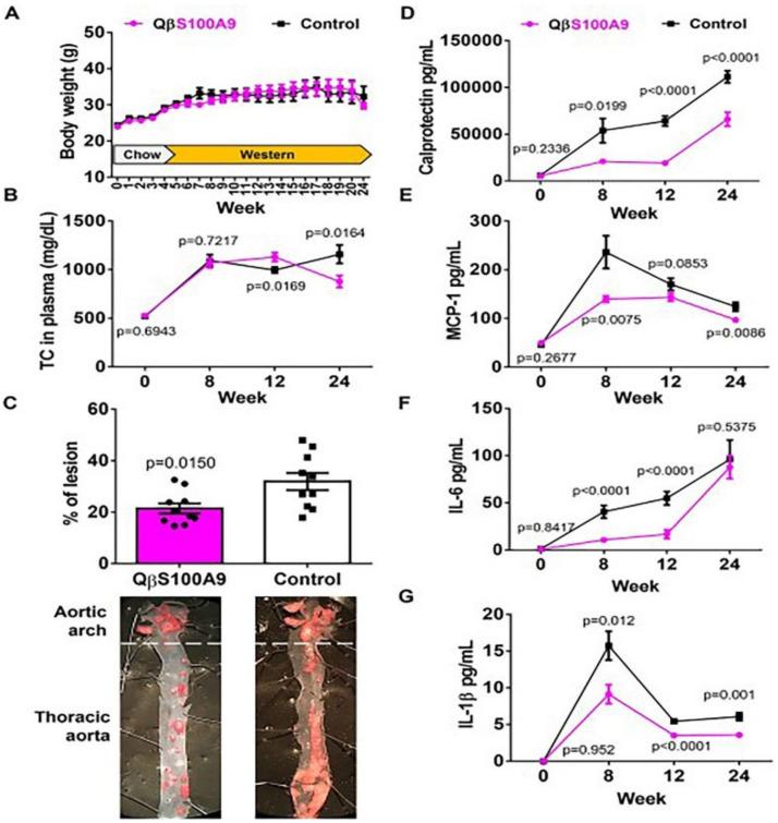 https://cdn.ncbi.nlm.nih.gov/pmc/blobs/8c3d/10058621/471af9bee940/pharmaceuticals-16-00454-g011.jpg