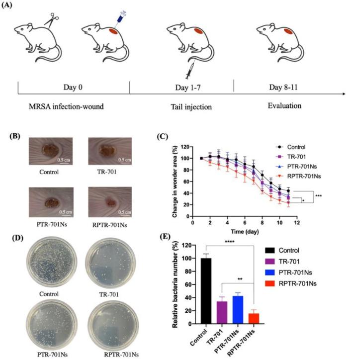 https://cdn.ncbi.nlm.nih.gov/pmc/blobs/8c3d/10058621/4f4eb4b3154c/pharmaceuticals-16-00454-g012.jpg