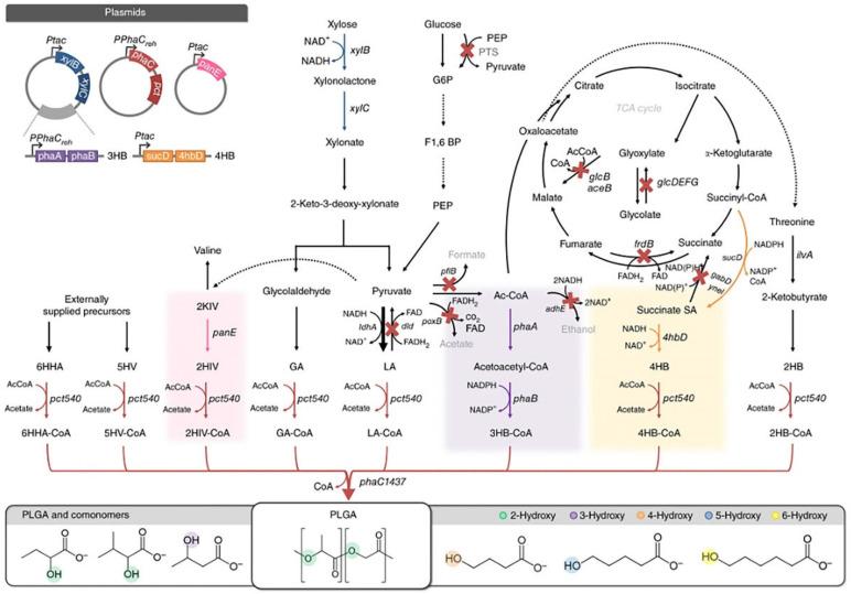 https://cdn.ncbi.nlm.nih.gov/pmc/blobs/8c3d/10058621/8adf2bce1296/pharmaceuticals-16-00454-g001.jpg