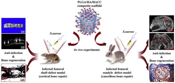 https://cdn.ncbi.nlm.nih.gov/pmc/blobs/8c3d/10058621/c6c6c89cfa69/pharmaceuticals-16-00454-g006.jpg