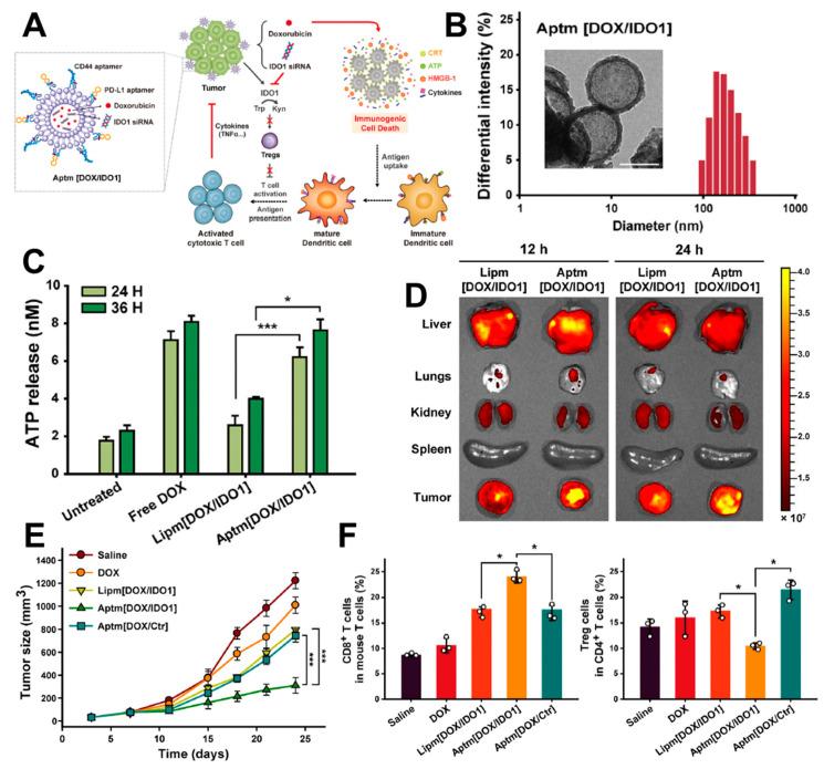 https://cdn.ncbi.nlm.nih.gov/pmc/blobs/8c3e/11207855/0e07cbe90e73/pharmaceutics-16-00795-g003.jpg