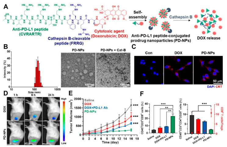 https://cdn.ncbi.nlm.nih.gov/pmc/blobs/8c3e/11207855/38f7eea6d514/pharmaceutics-16-00795-g004.jpg
