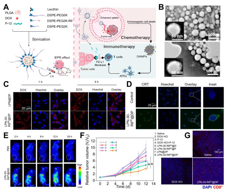 https://cdn.ncbi.nlm.nih.gov/pmc/blobs/8c3e/11207855/f17ea23e50be/pharmaceutics-16-00795-g002.jpg