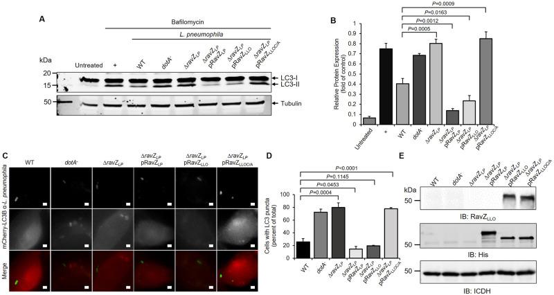 https://cdn.ncbi.nlm.nih.gov/pmc/blobs/8c3e/9910735/3fbcd2c84052/pone.0281587.g005.jpg