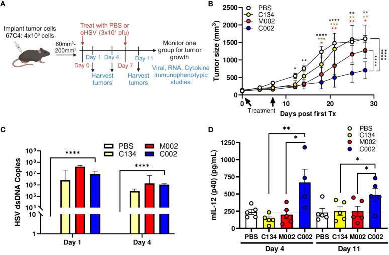 https://cdn.ncbi.nlm.nih.gov/pmc/blobs/8c3f/11184146/fda4478f2461/fimmu-15-1375413-g003.jpg